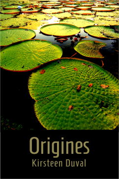 Couv Origines 2