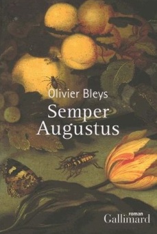 Semper-Augustus.jpg